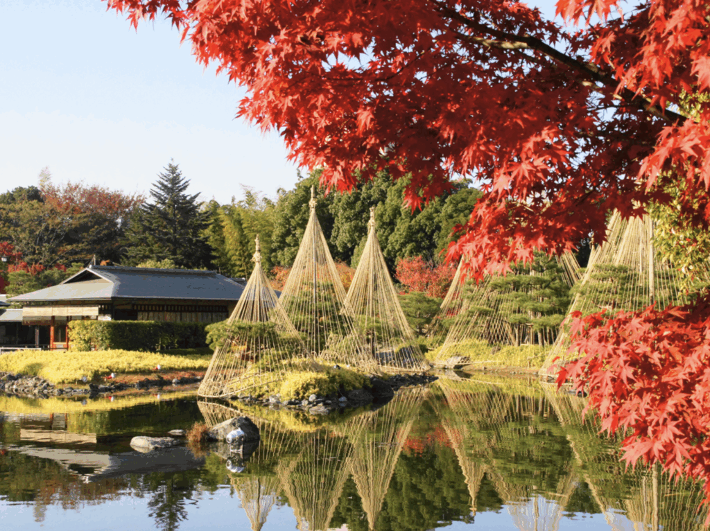 白鳥庭園の画像